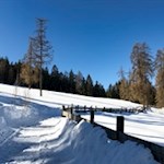 Durch Lärchenwiesen zum Knottnkino