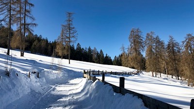 Durch Lärchenwiesen zum Knottnkino