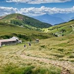 Abstieg zur Kirchsteiger Alm