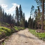 Auf dem Rückweg zur Frommer Alm