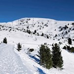Der Urlesteig schlängelt sich durch eine bezaubernde Winterlandschaft