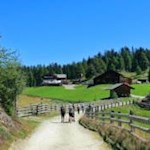 Mehr als 30 Prozent der Südtiroler Landesfläche sind als Alm- und Weidefläche kategorisiert