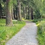 Der erste Teil der Wanderung führt nahezu eben durch den Wald