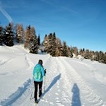 Im sanften Auf und Ab in Richtung Flaner Jöchl