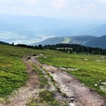 Über weite Heidehänge zur Gönneralm