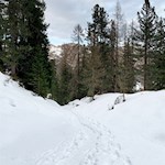 Auf schmalen Pfaden zur Geisleralm