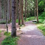 Wer genau hinsieht, entdeckt die Wolfsgrube