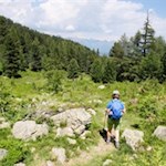 Der Weg wird im Frühsommer von leuchtenden Alpenrosen umsäumt