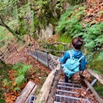 Metalltreppen geleiten durch die wildromantische Rastenbachklamm