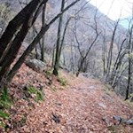 „Es gibt keine richtige Art, die Natur zu sehen. Es gibt hundert.“ (Tucholsky)