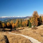 „Der allgemeine Charakter der Natur ist Güte in der Größe.“ (Alexander von Humboldt)