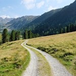 Vom breiten Wanderweg zweigt schließlich rechts der Weg auf den Rammelstein ab