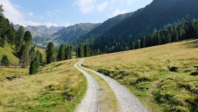 Vom breiten Wanderweg zweigt schließlich rechts der Weg auf den Rammelstein ab