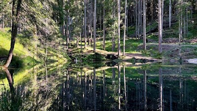Am Kleinen See unterhalb von Bad Ratzes