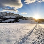 Im Schein der untergehenden Abendsonne zurück zum Karersee