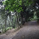 Knapp unterhalb des Verbotsschildes zweigt links der Waldweg nach San Alessandro ab