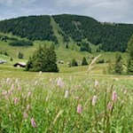 Unser Blick fällt auf den Puflatsch