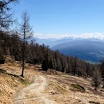 Auf dem Weg Nr. 1B in Richtung Anratterhütte