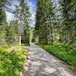 Durch den Wald zu den Rotwandwiesen