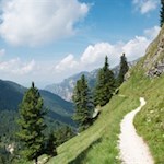 Sanft zieht sich der Weg durch die grünen Grasleiten zur Grasleitenhütte