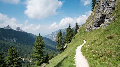 Sanft zieht sich der Weg durch die grünen Grasleiten zur Grasleitenhütte