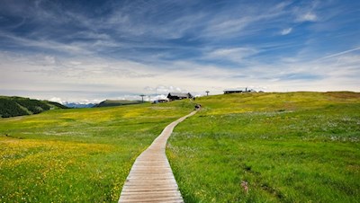 Inmitten idyllischer Almwiesen liegt die Laurinhütte