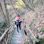Über Holztreppen zurück nach Haslach