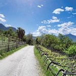 Der Maiser Waalweg führt durch malerische Obstwiesen