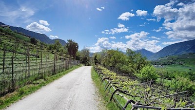 Der Maiser Waalweg führt durch malerische Obstwiesen