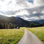 Den blühenden Kameriotwiesen wohnt ein besonderer Zauber inne