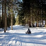 Auf flotten Kufen zurück ins Tal