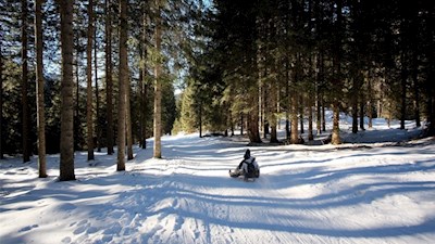 Auf flotten Kufen zurück ins Tal