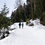 Leichte Schneewanderung zur Gasserhütte