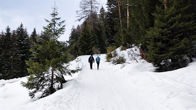 Leichte Schneewanderung zur Gasserhütte
