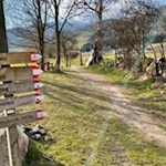 Der Pfaffensteig ist gut ausgeschildert