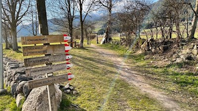 Der Pfaffensteig ist gut ausgeschildert