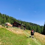 Die letzten Meter zur Pertinger Alm