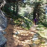 Durch den friedvollen Wald zur Radlseehütte