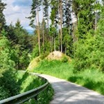Der erste Teil der Wanderung folgt einer asphaltierten Straße