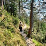 Auf dem Waldpfad Nr. 1A in Richtung Hoferalpl