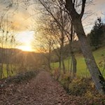 Abendstimmung auf dem Gumperer Weg