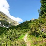 Der schmale Pfad windet sich in friedvoller Einsamkeit in Richtung Schrotthorn