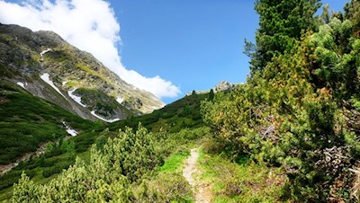 Der schmale Pfad windet sich in friedvoller Einsamkeit in Richtung Schrotthorn