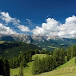 Durch Wiesen und Wälder auf die Kreuzspitze