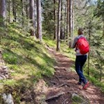 In the gentle climb to lake Carezza