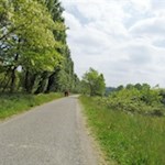 Along the Mincio river through the enchanting landscape