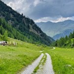 Unterhalb der Valtiglalm liegt die Plunhofhütte