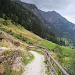 Ein sanfter Wiesen- und Waldweg führt nach Erl hinab