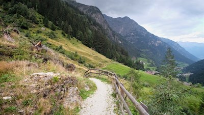 Ein sanfter Wiesen- und Waldweg führt nach Erl hinab