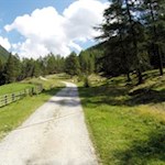 Die Wanderung zur Lercheralm führt durch eine liebliche Landschaft